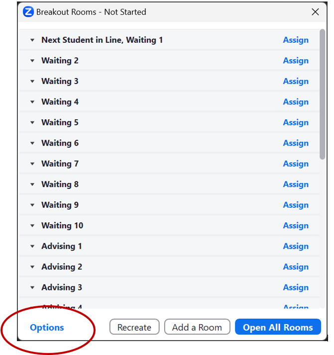 Zoom Options Button