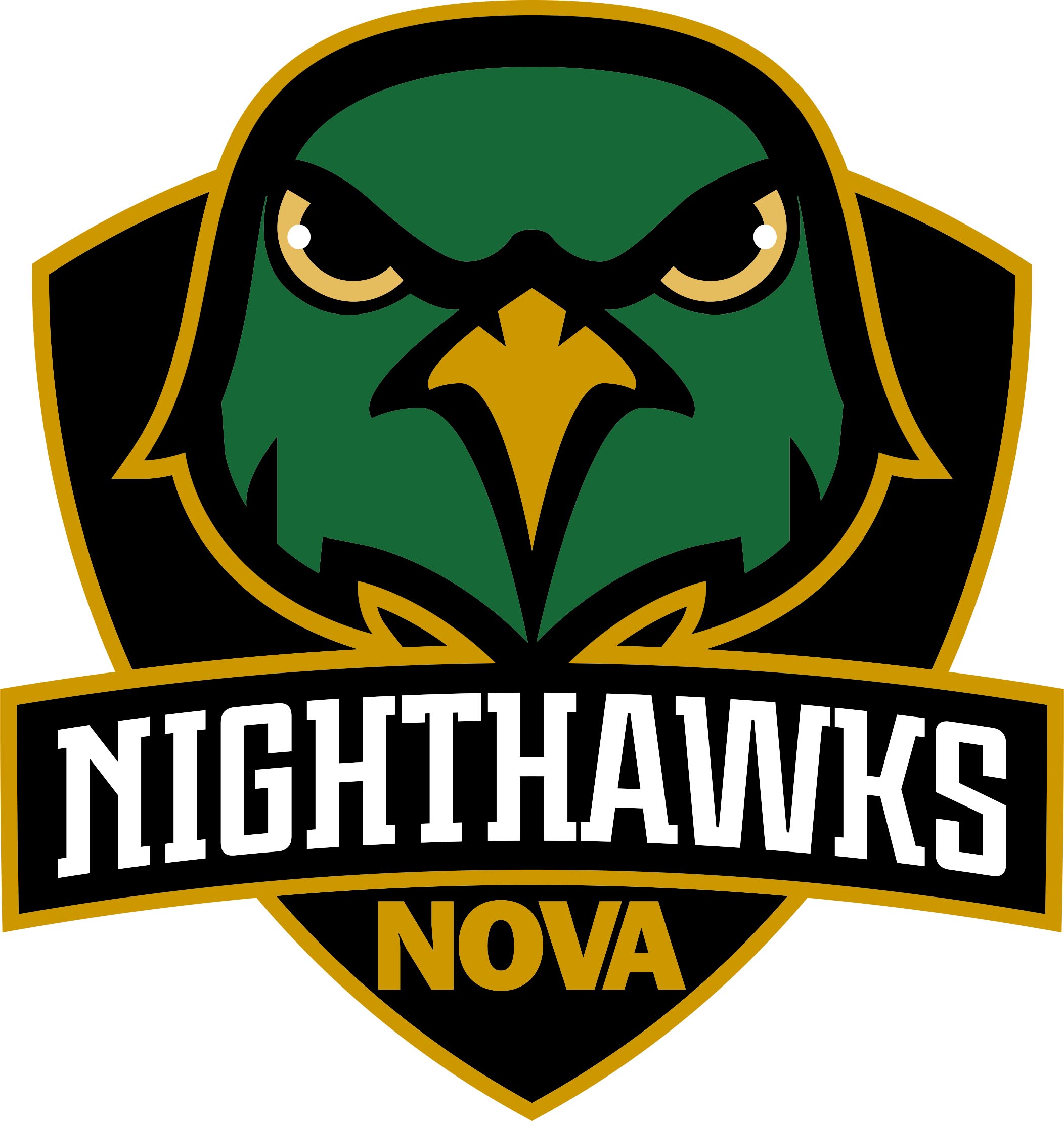 NOVA Logo