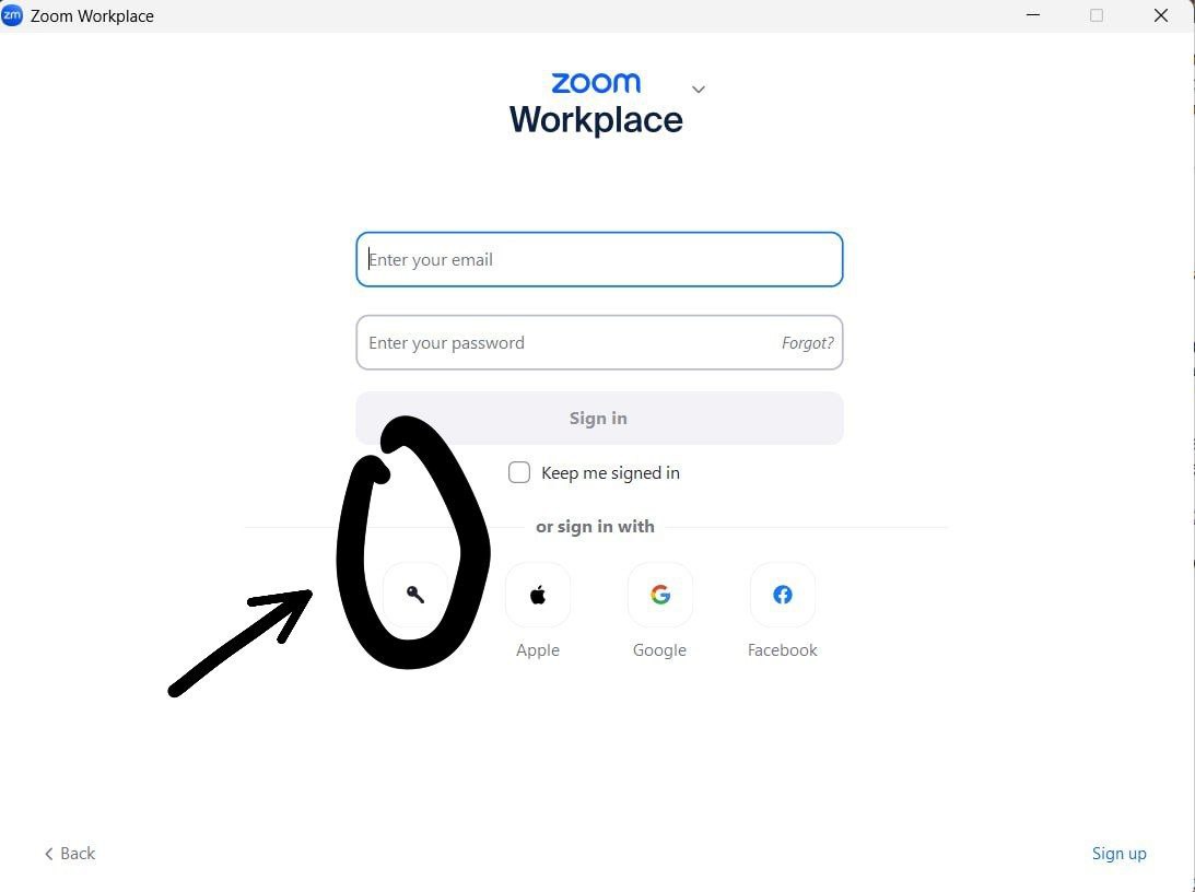 Zoom Domain Entry Screen